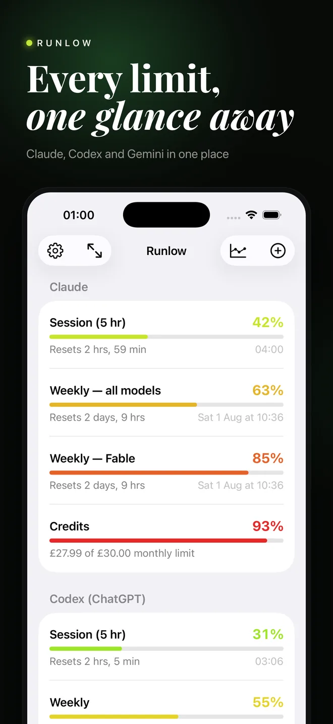Runlow dashboard showing usage meters for every limit